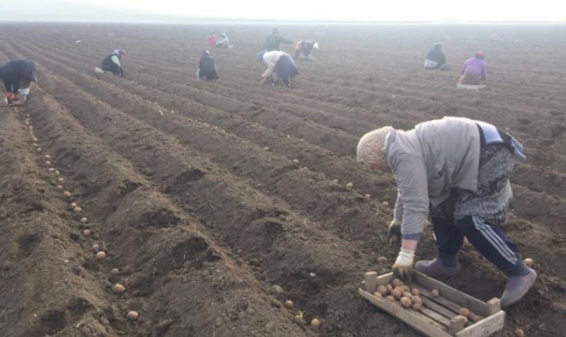 Режим работы в майские праздники 2019 года